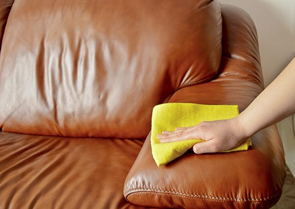 Cleaning a couch